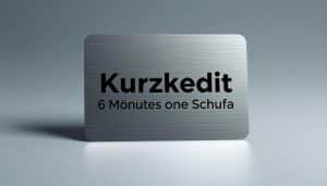 Kurzkredit 6 Monate ohne Schufa hier beantragen