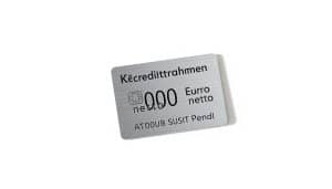 Wie viel Kredit bei 3000 Euro netto?