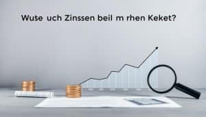Wie viel Zinsen bei einem Kredit?